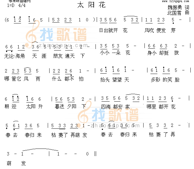 太阳花
