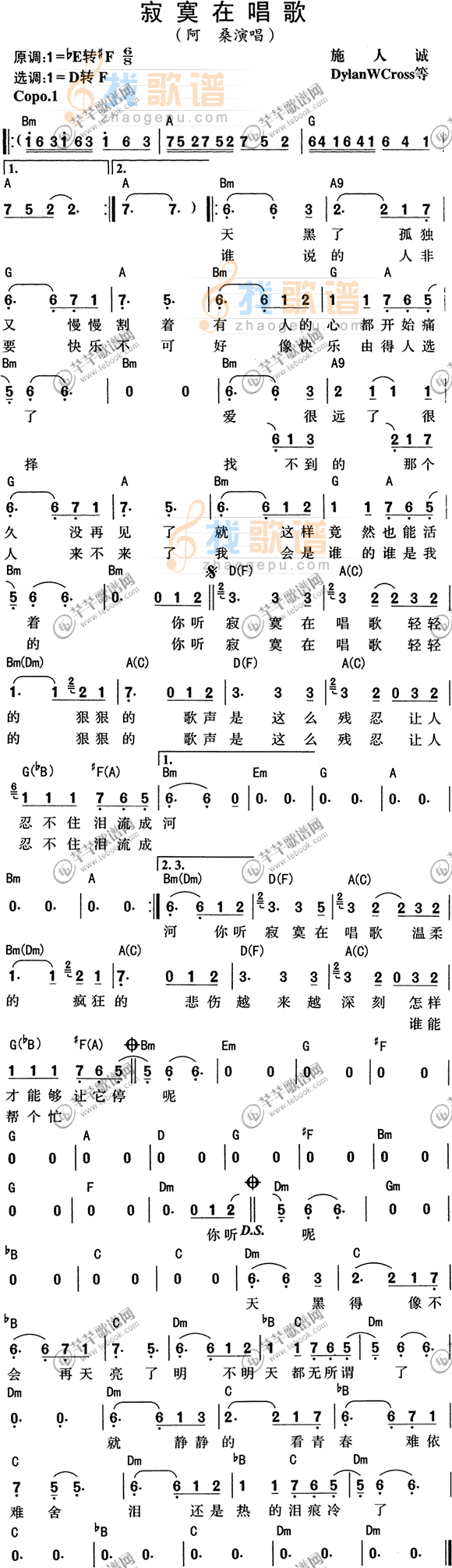 阿桑-寂寞在唱歌