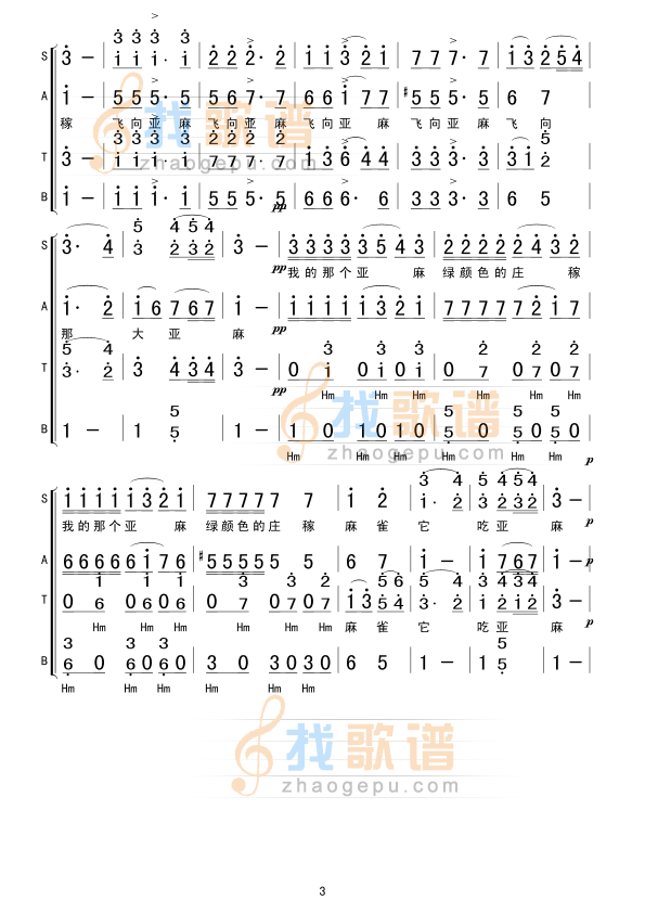 在森林的那一边