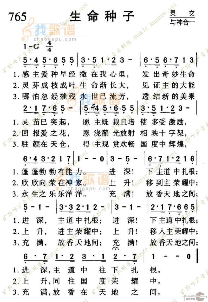 765生命种子