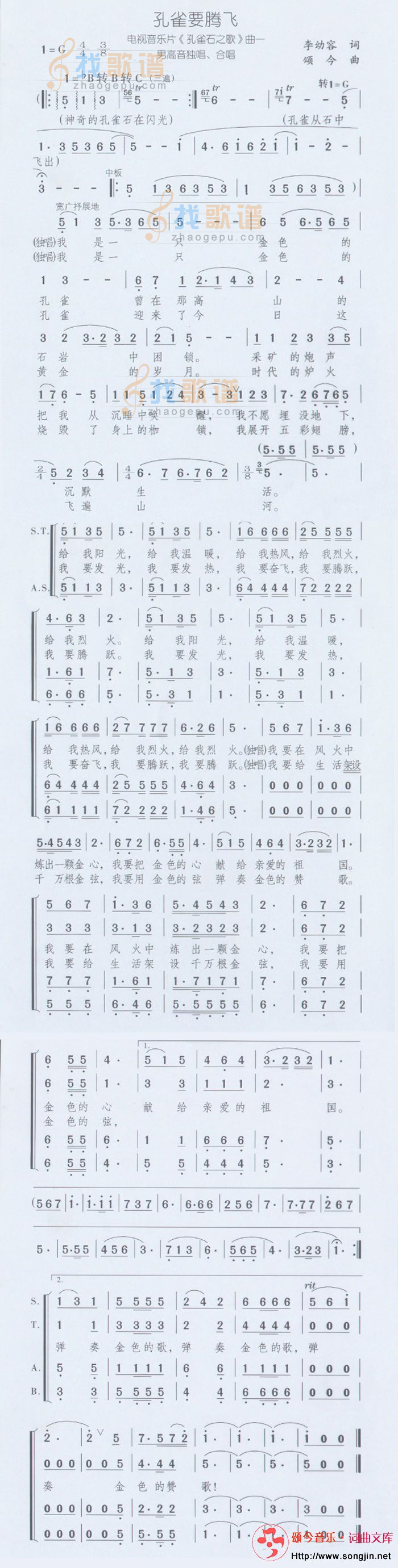 孔雀要腾飞
