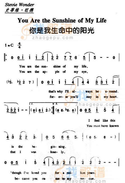 你是我生命中的阳光