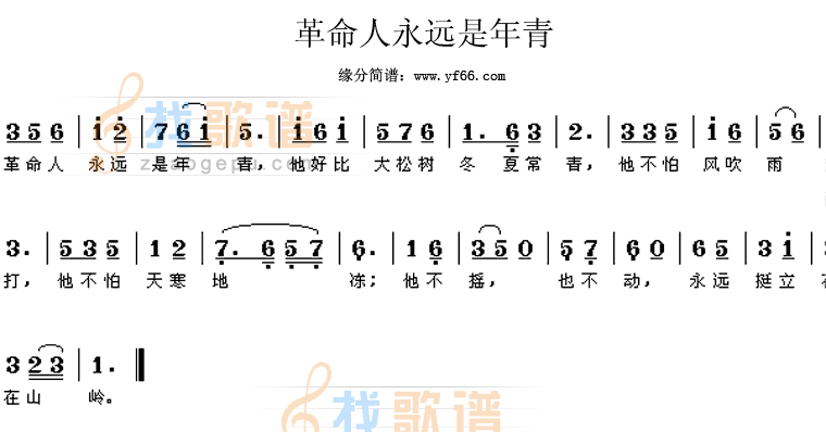 革命人永远是年轻
