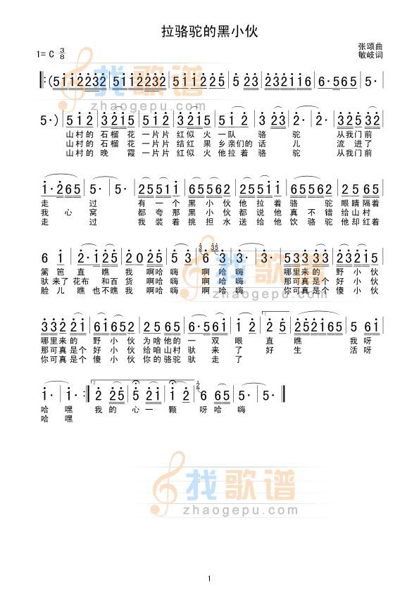 拉骆驼的黑小伙