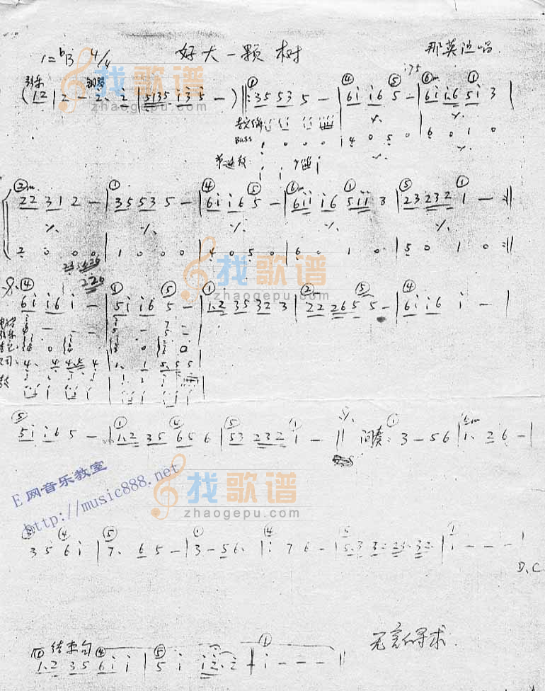 好大一棵树（乐队乐谱）