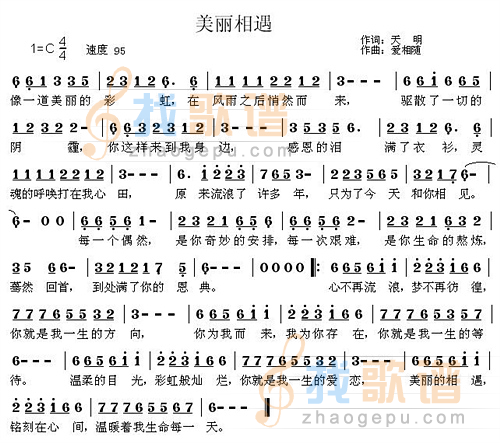 美丽的相遇