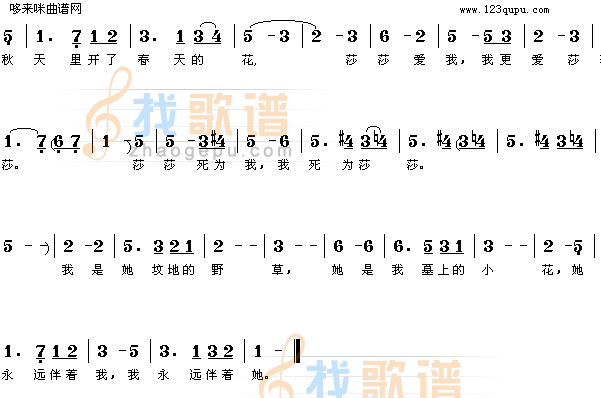 秋天里的春花