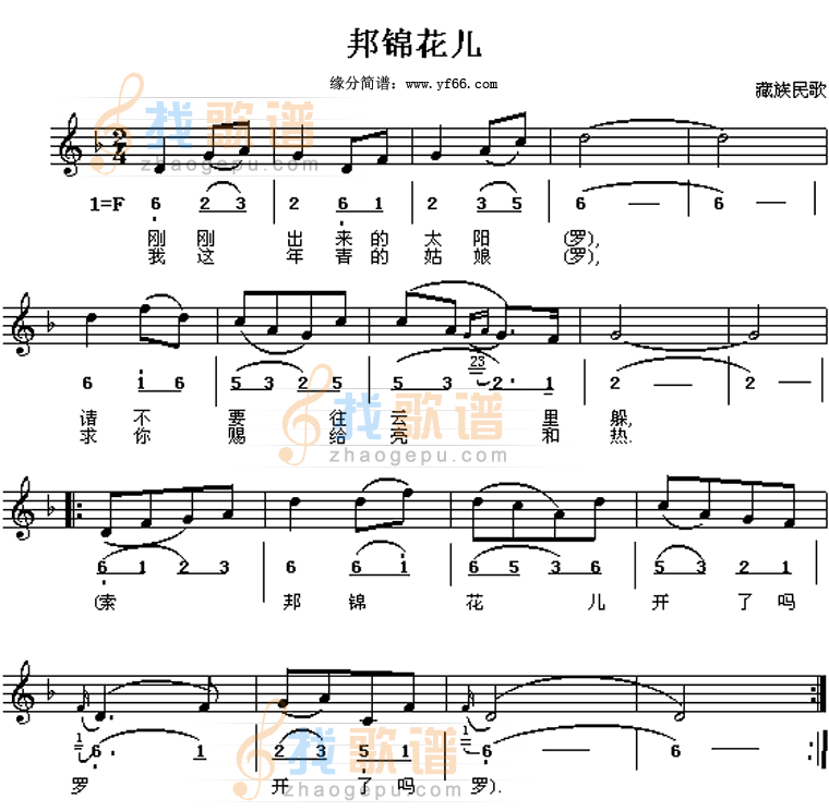 邦锦花儿