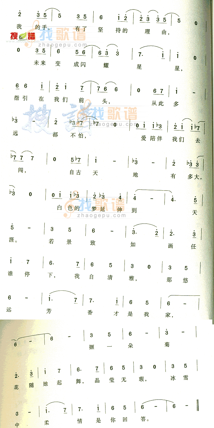 冰菊舞
