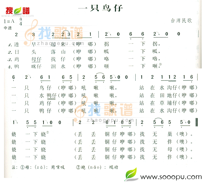 一只鸟仔