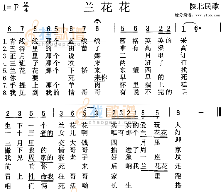 兰花花