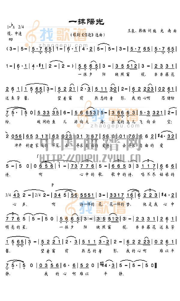 一抹阳光
