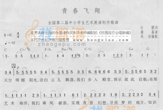 青春飞翔