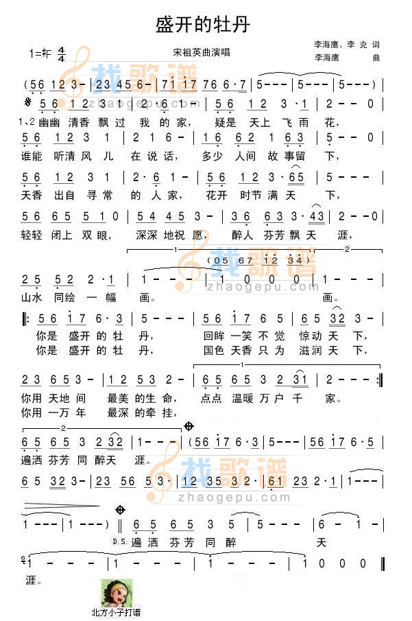盛开的牡丹