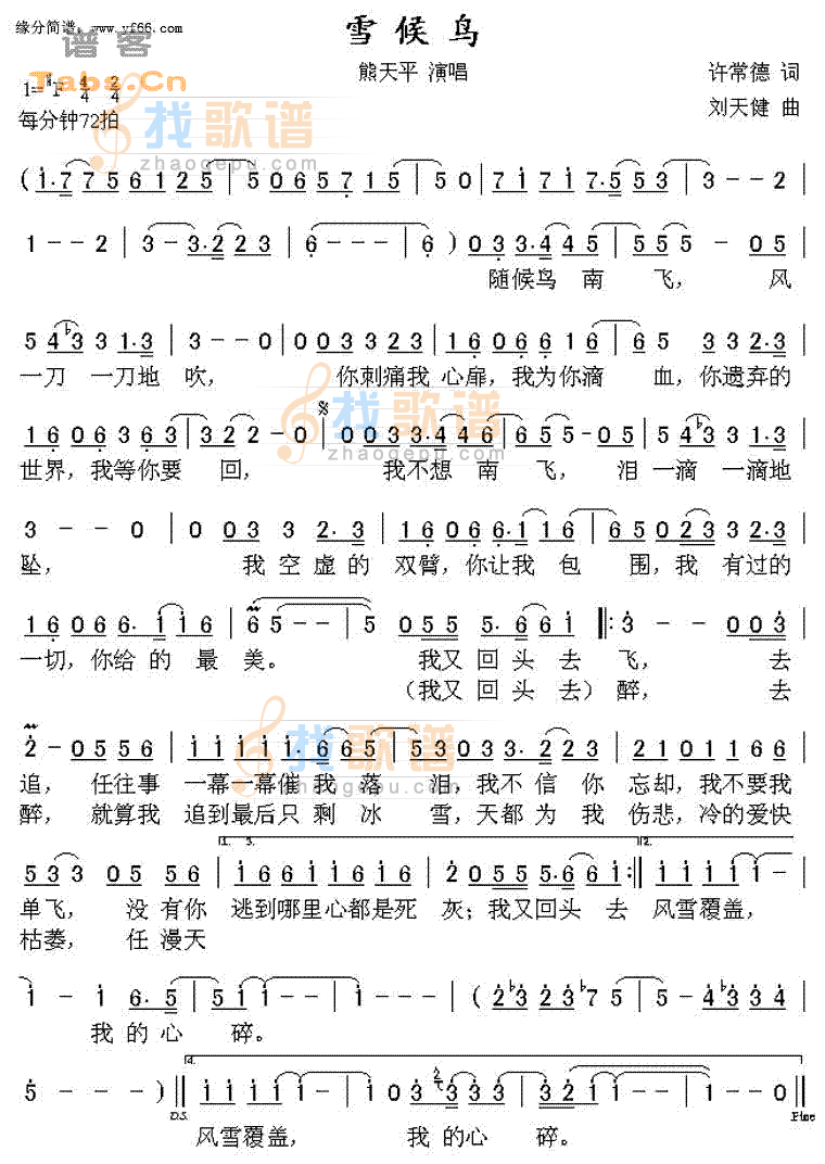 雪候鸟