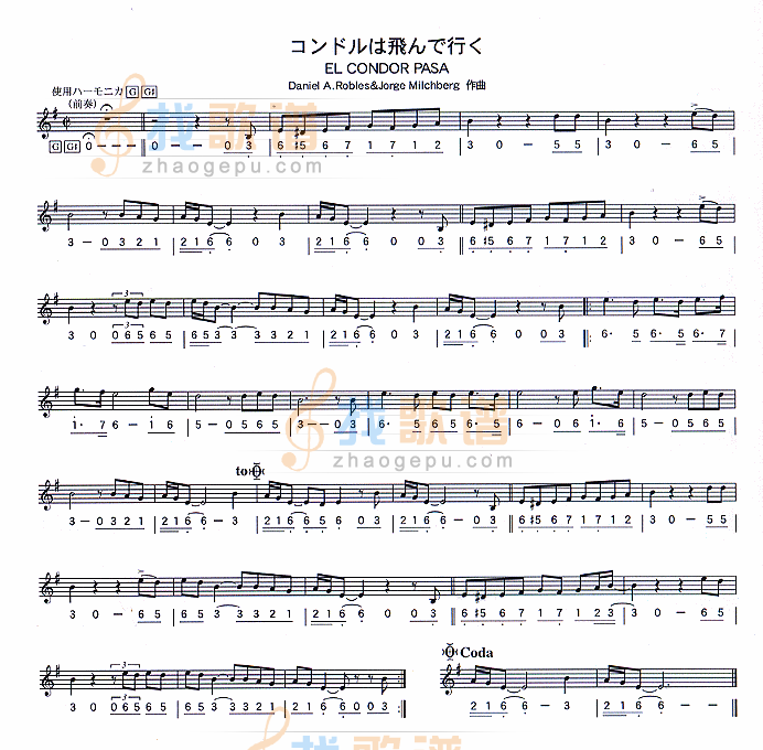 老鹰之歌