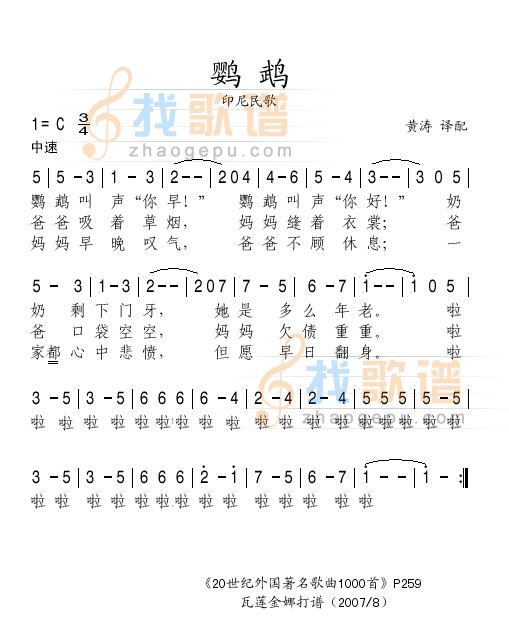 鹦鹉