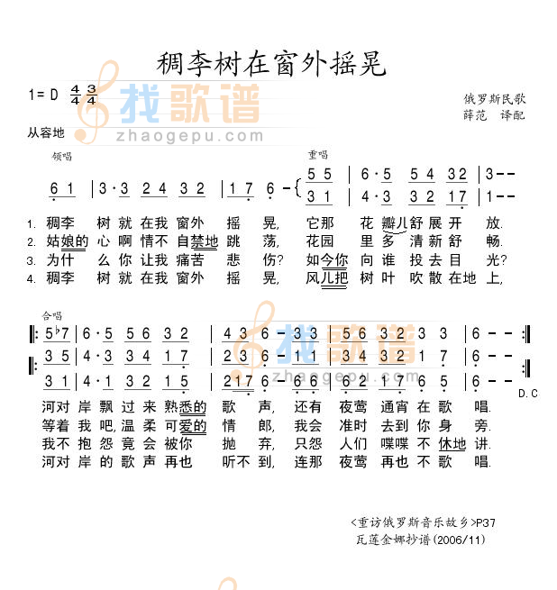 稠李树在窗外摇晃.JPG