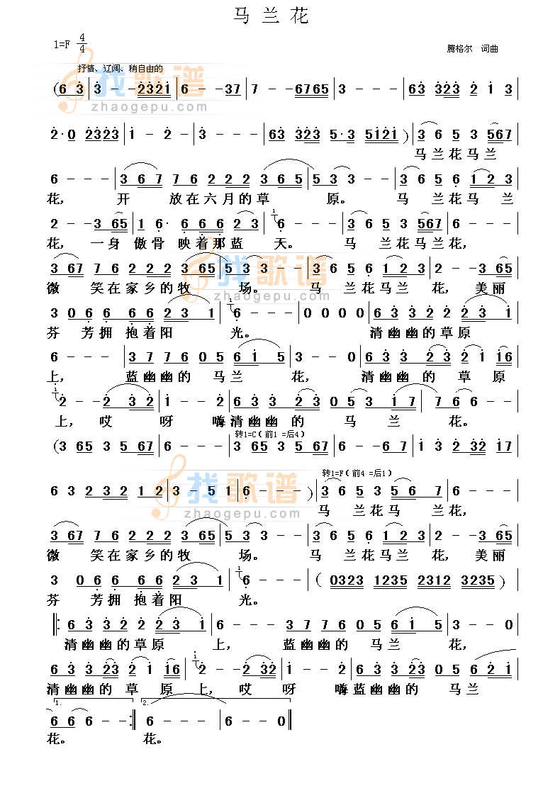 马兰花