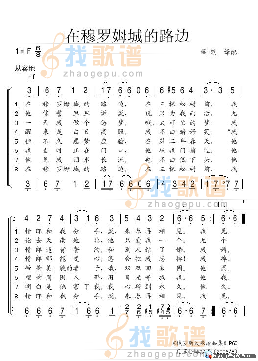 在穆罗姆城的路边