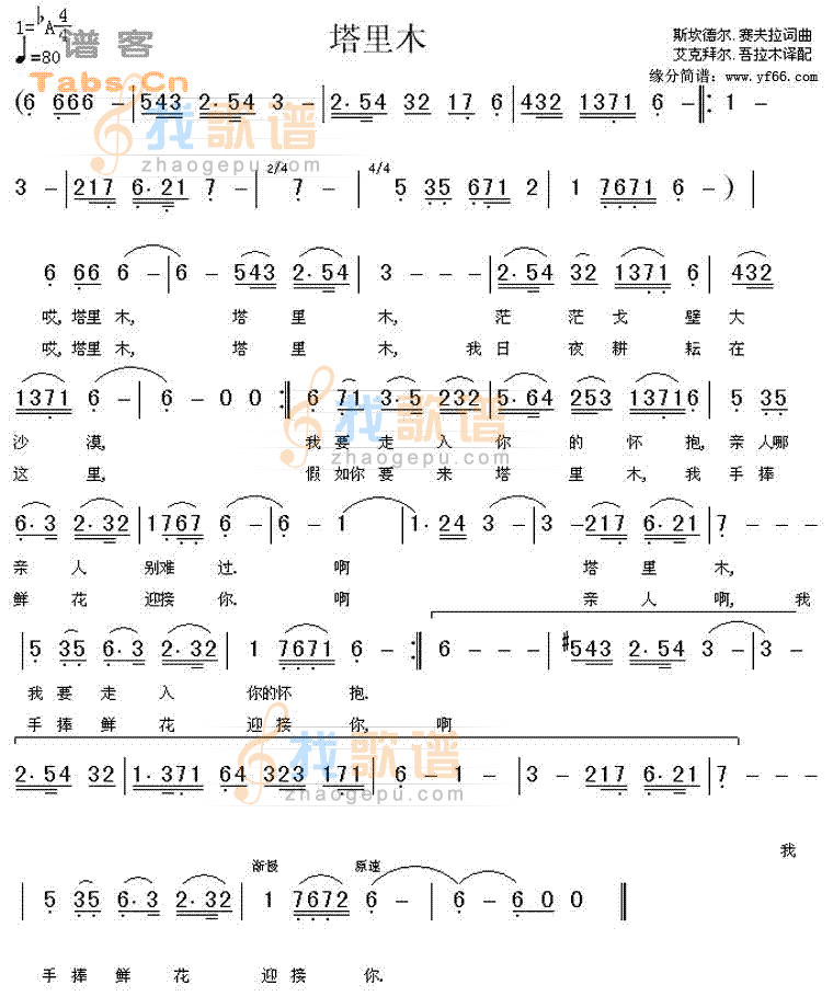 塔里木