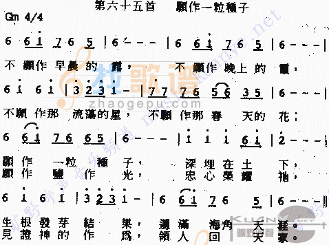 作一粒种子奉献自己
