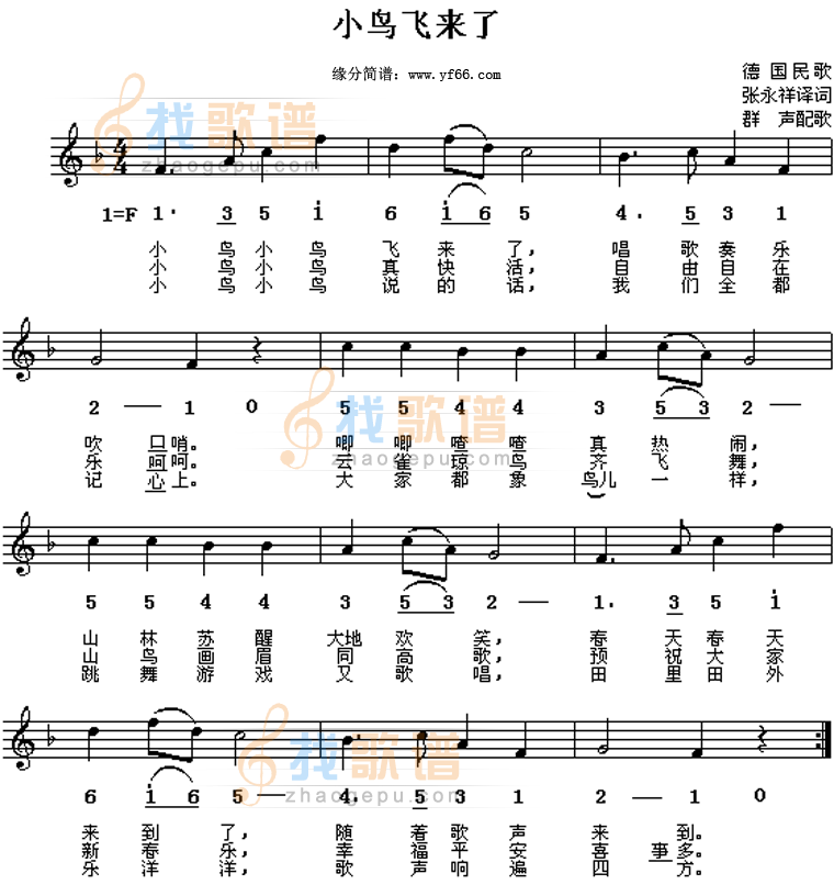 小鸟飞来了
