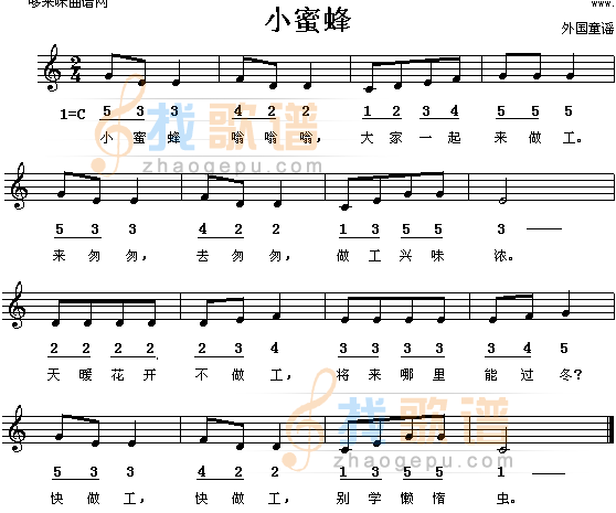 小蜜蜂