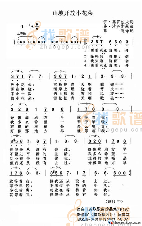 山坡开放小花朵