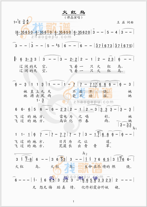 火红鸟