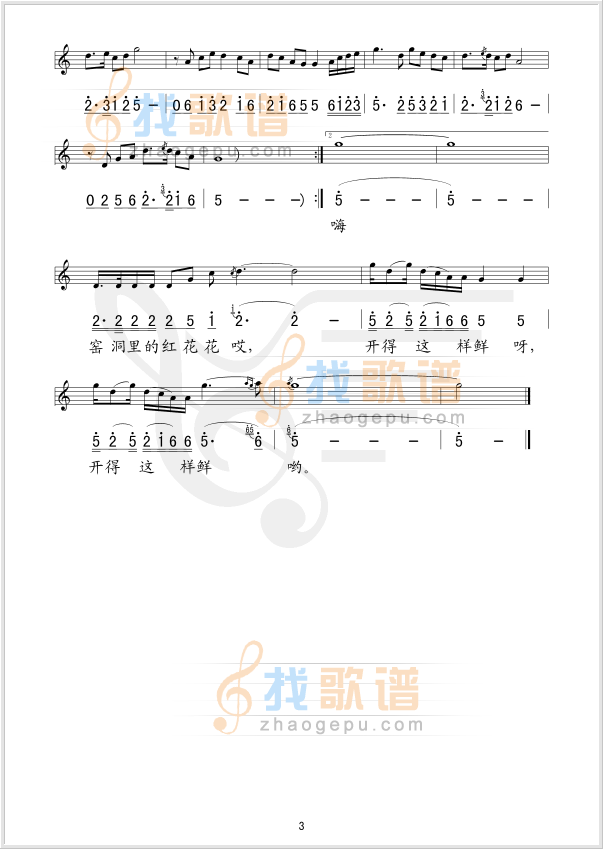 窑洞里的红花花