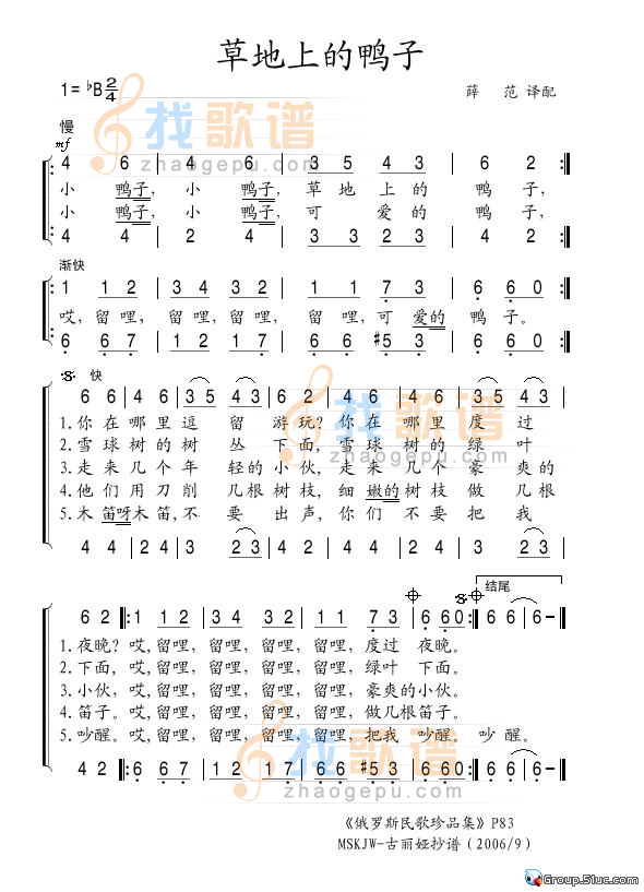 草地上的鸭子