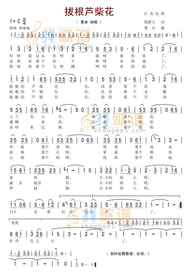 拔根芦柴花