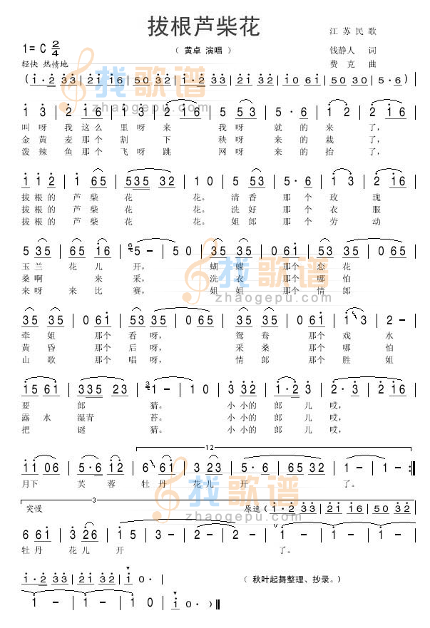 拔根芦柴花(黄卓)