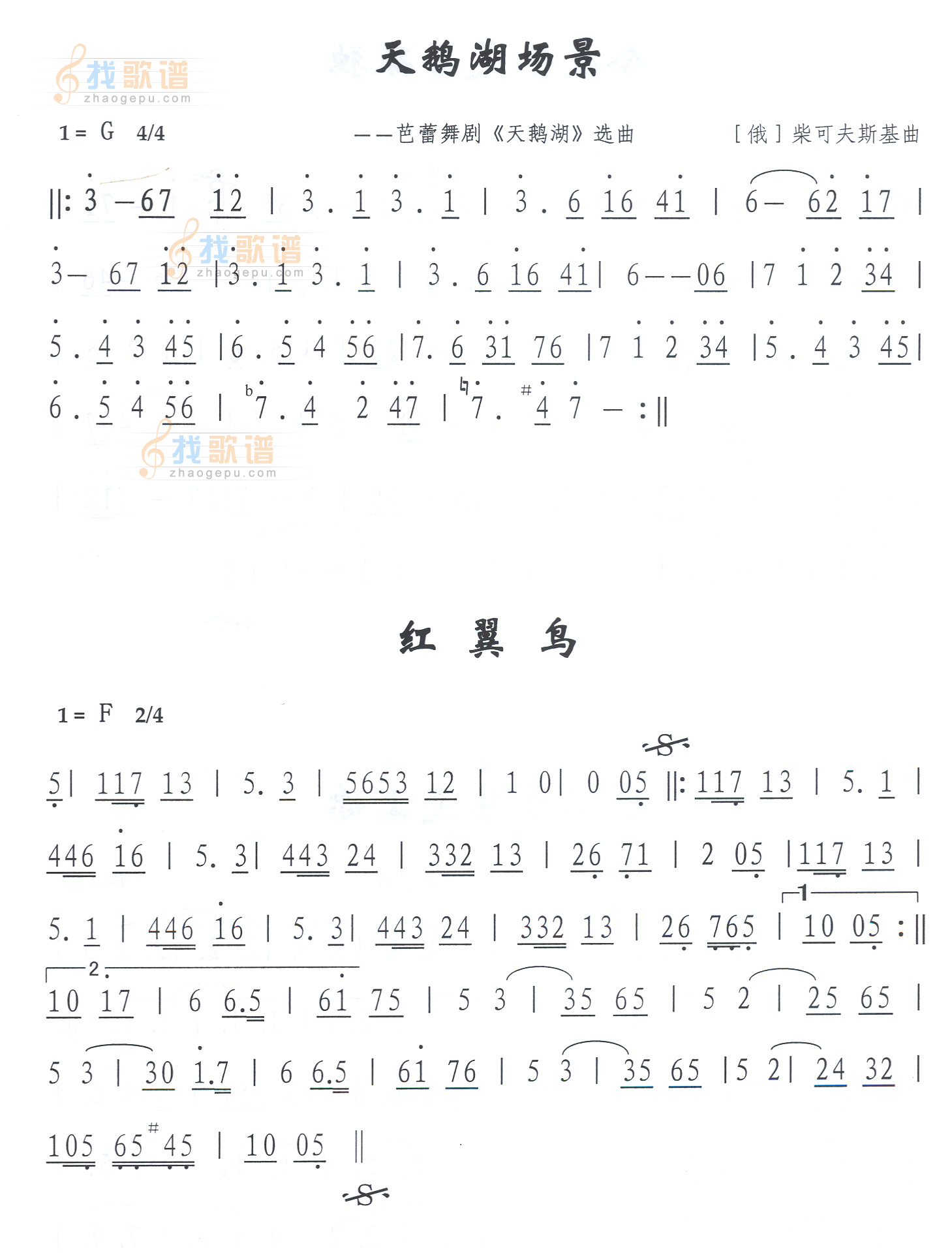 红翼鸟