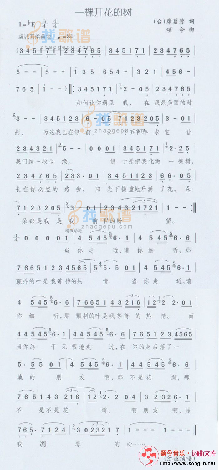 一棵开花的树