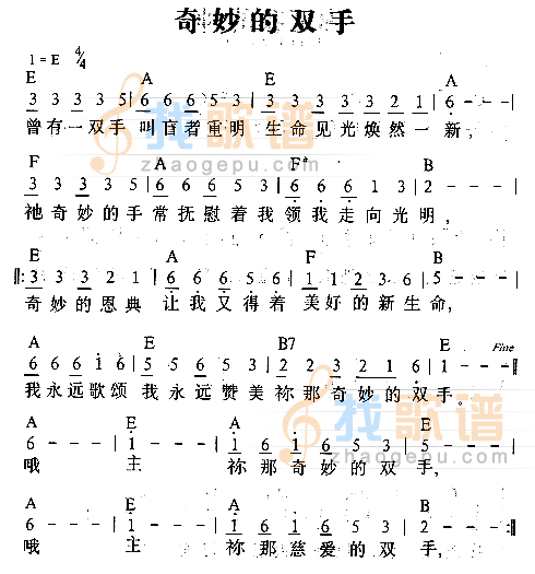 奇妙的双手