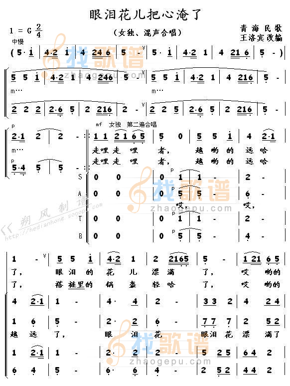 眼泪花儿把心淹了（王洛宾）