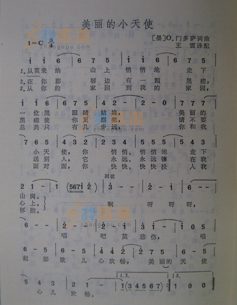 美丽的小天使