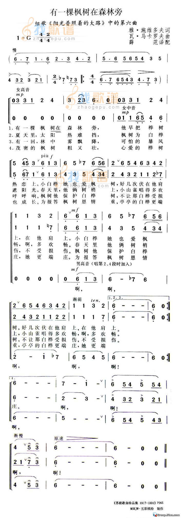 有一棵枫树在森林旁