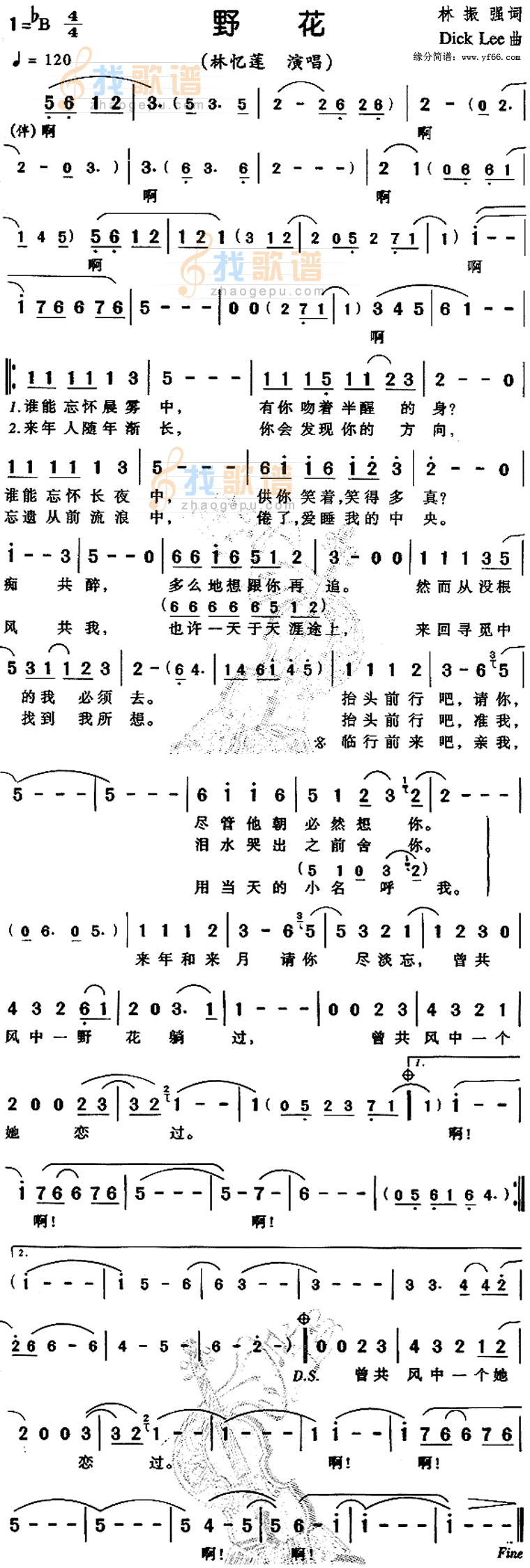 野花