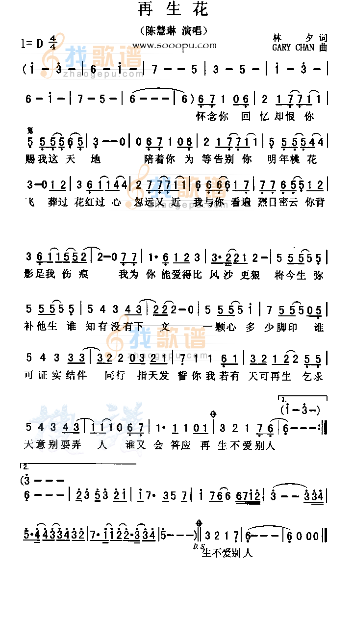 再生花