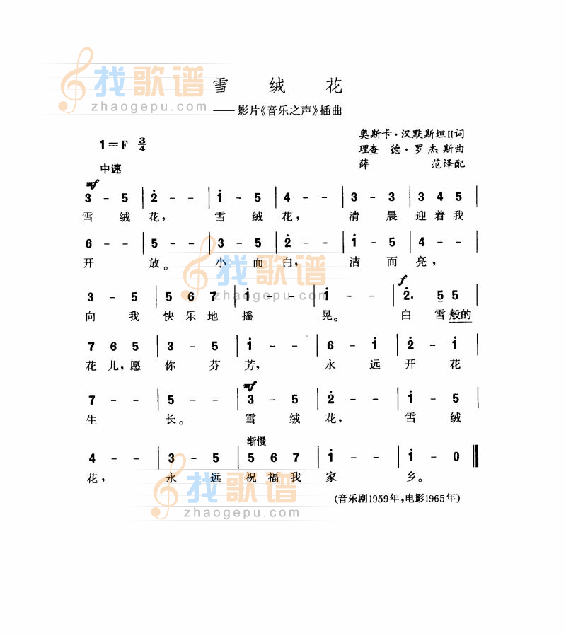 雪绒花