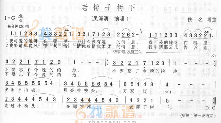 老椰子树下