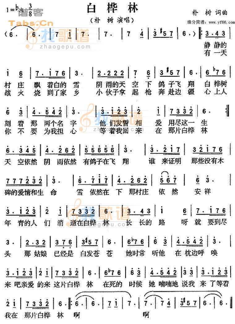 白桦林