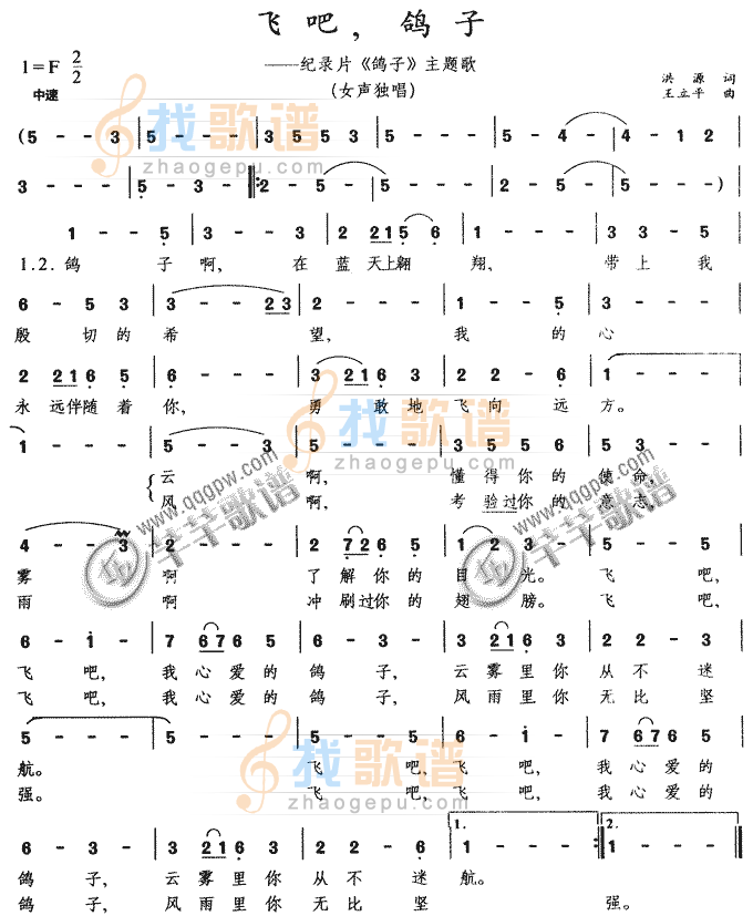 飞吧,鸽子