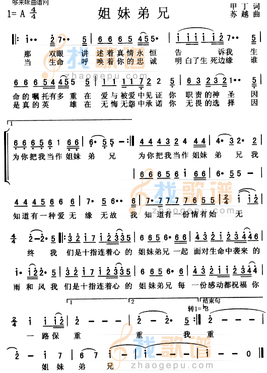 姐妹弟兄(群星)