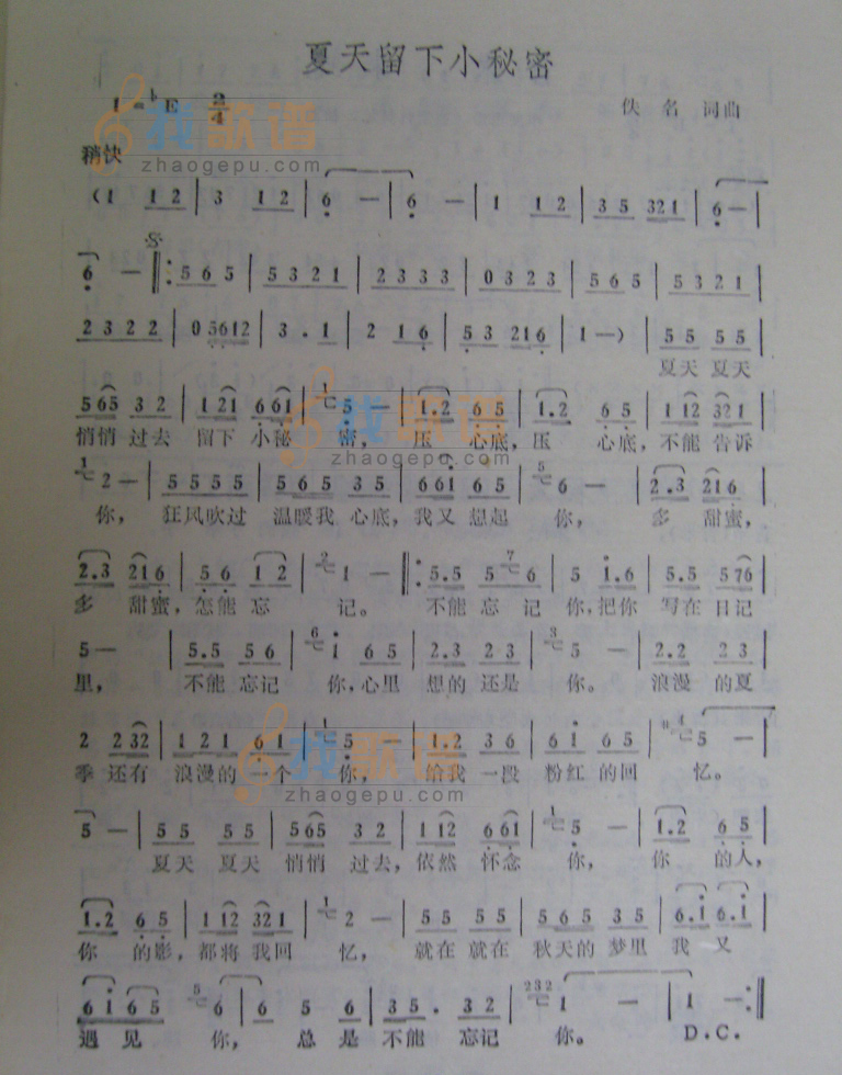 夏天留下小秘密