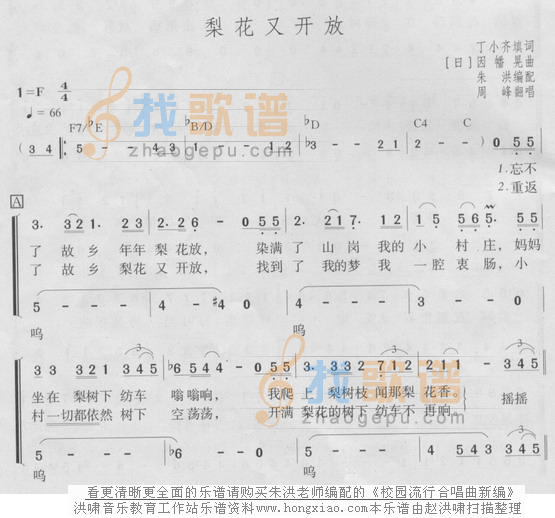 梨花又开放
