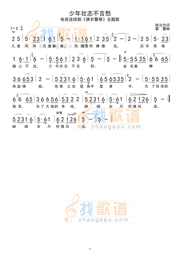 少年壮志不言愁